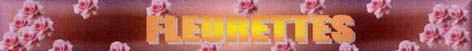 logo fleurettes