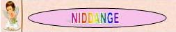 logo niddange