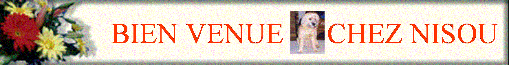 logo nisou1