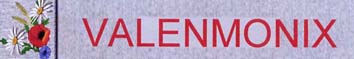 logo valenmonix